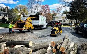 Best Commercial Tree Services  in Milford, NJ